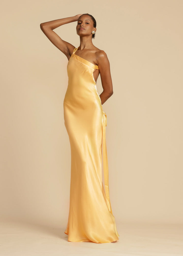 Novi | Radiant Satin Gown