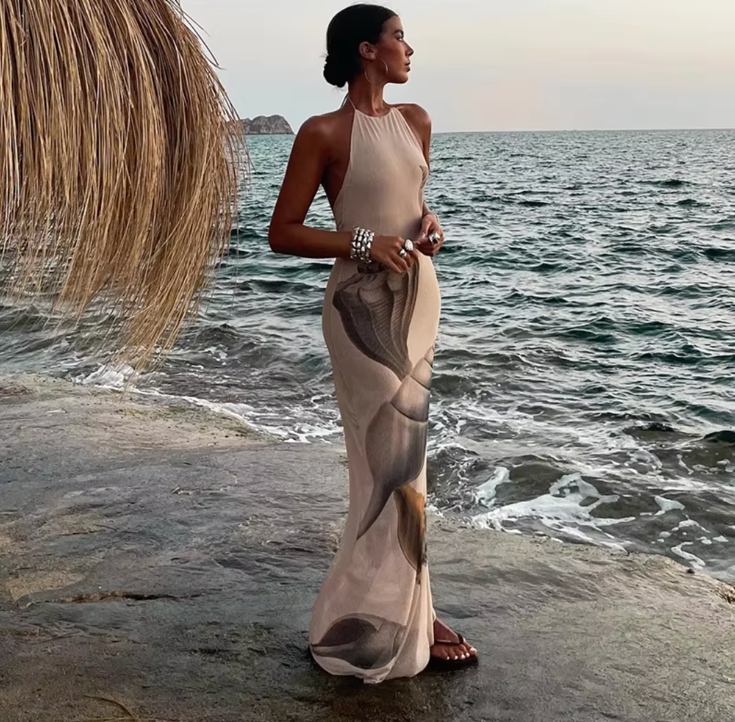 Paula | Stylish Sheer Dress