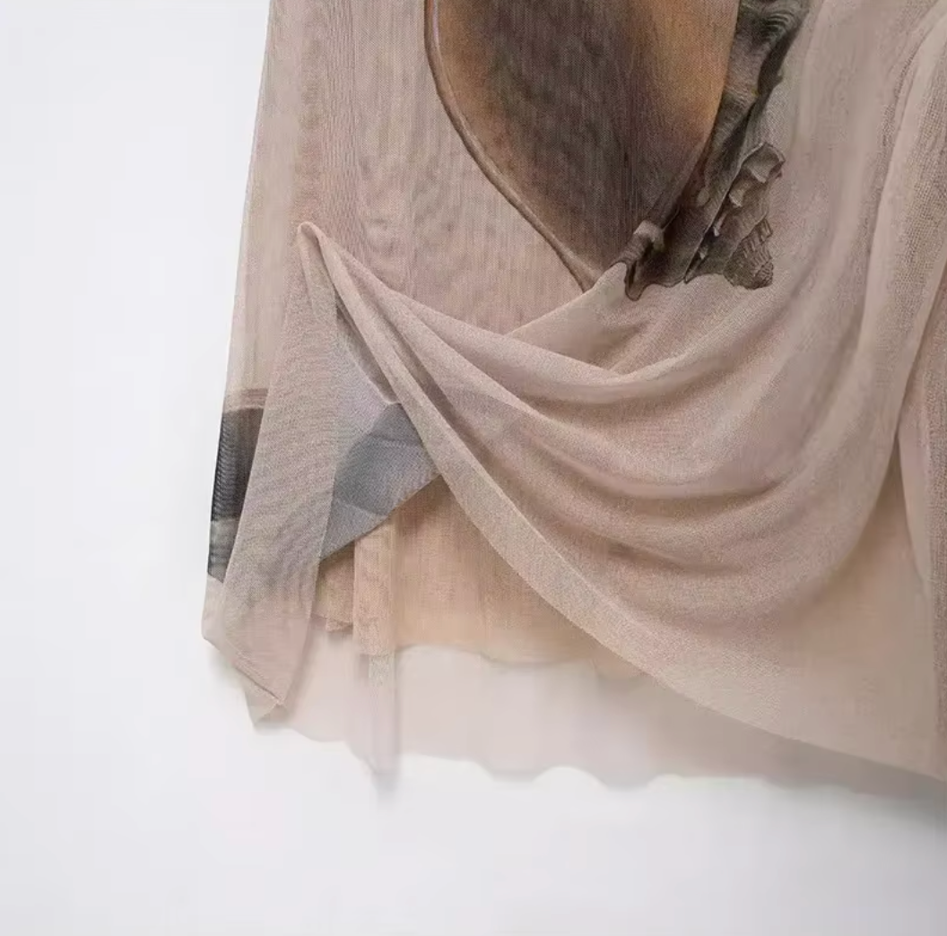 Paula | Stylish Sheer Dress
