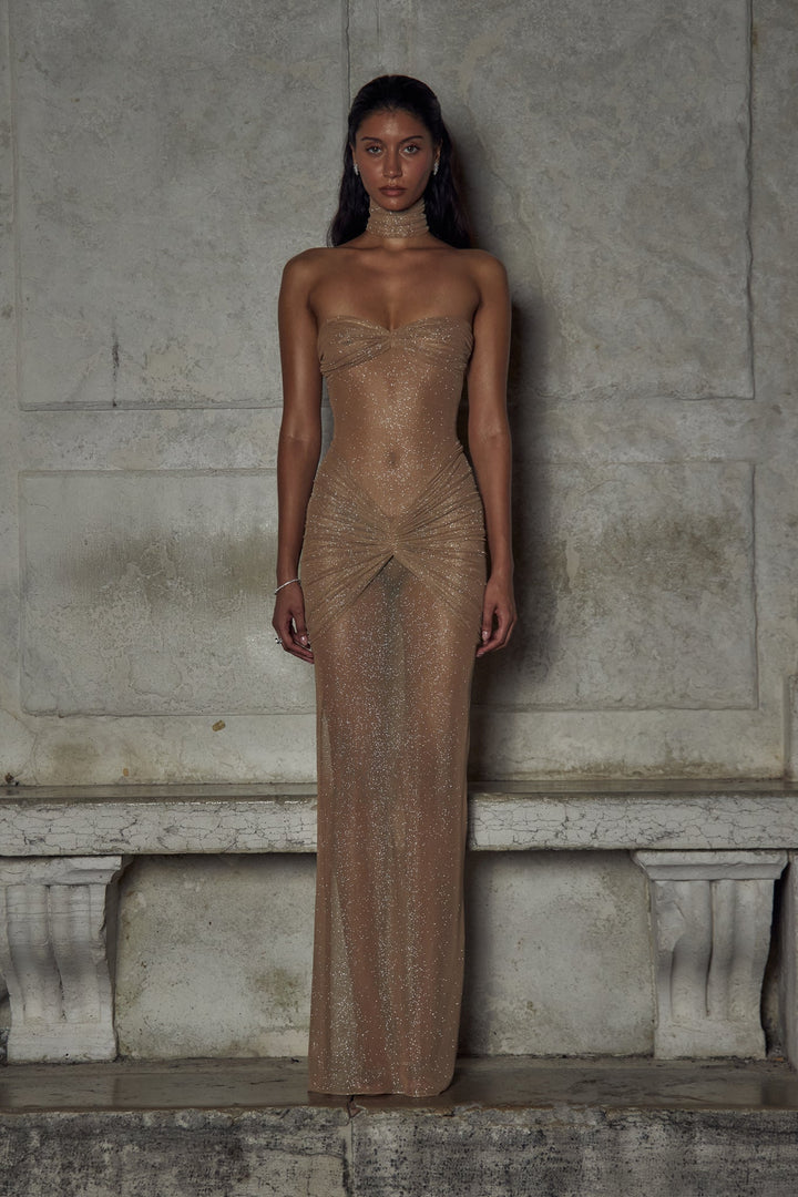 Ximena | Sparkly Mesh Gown